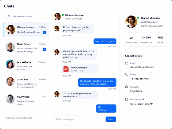 Botconsole chat interface preview